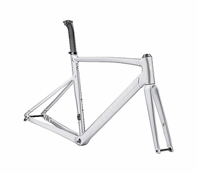 2023 Specialized ALLEZ SPRINT FRAMESET - 58cm, Satin Silver Dust/Gloss Transparent Decals