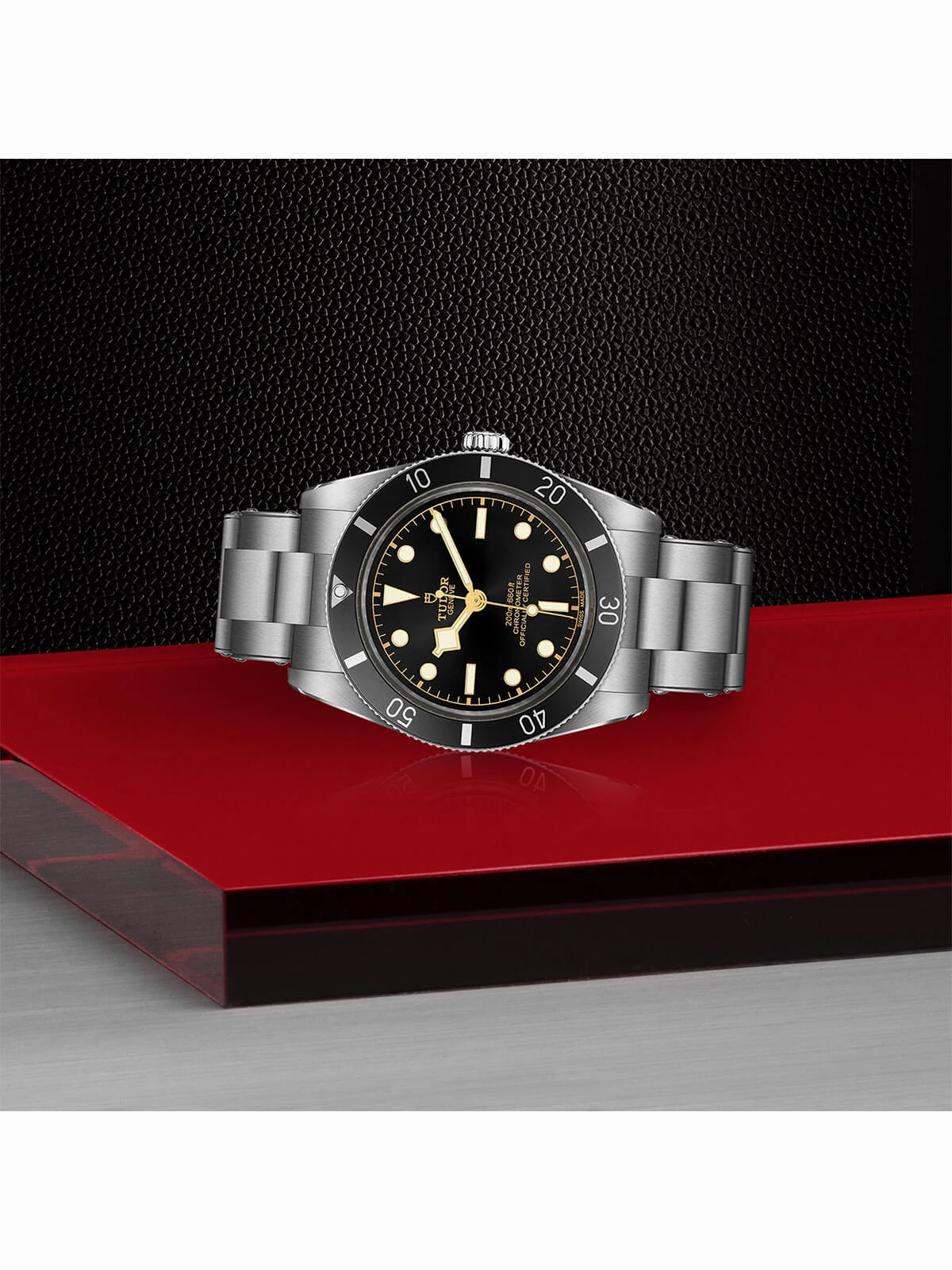 TUDOR Black Bay 54 Watch 37mm M79000N-0001