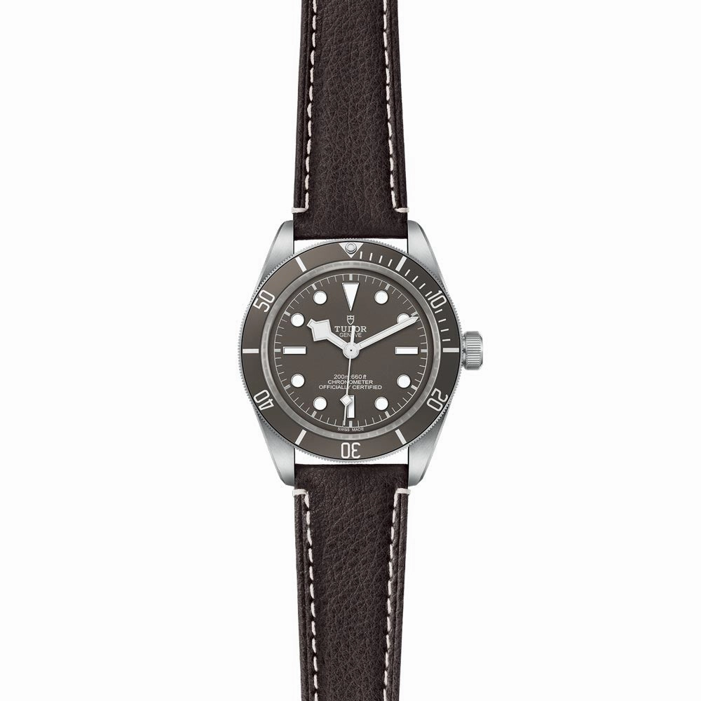 TUDOR Black Bay 58 925 Silver 39mm Taupe Dial Watch M79010SG-0001