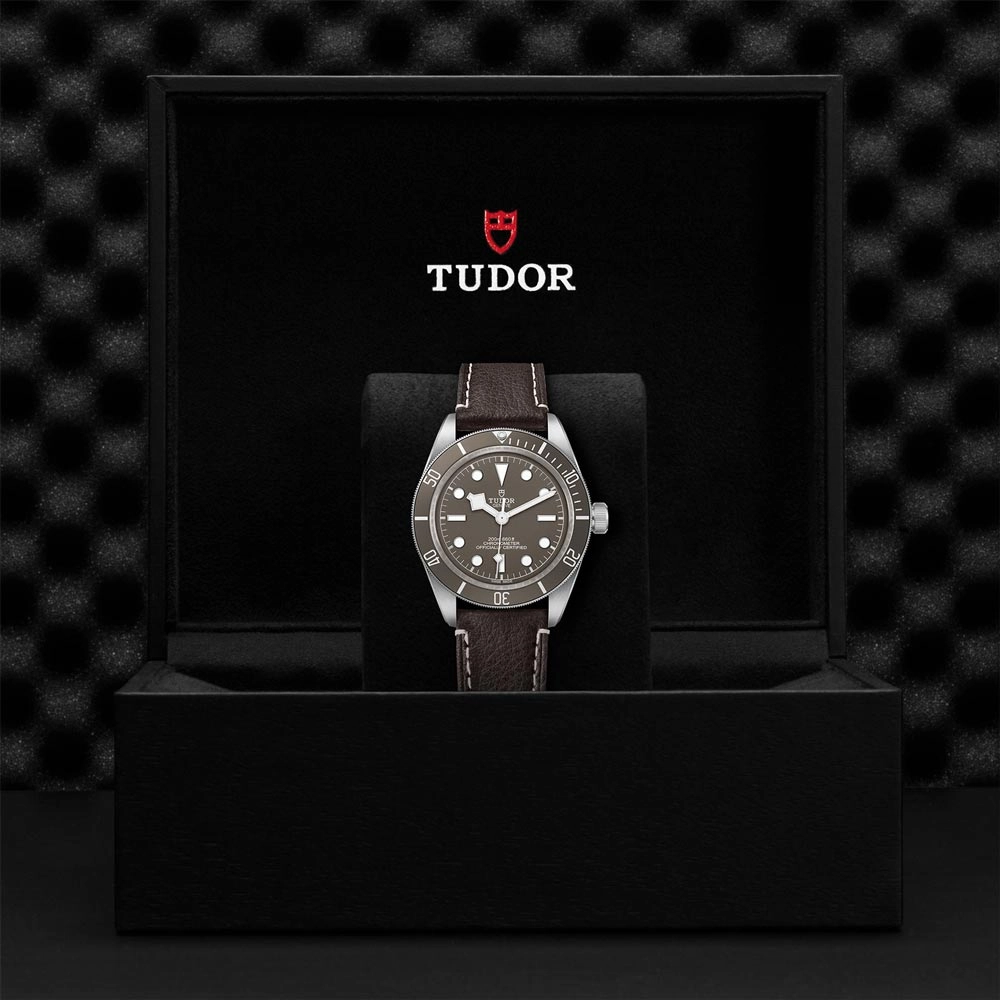 TUDOR Black Bay 58 925 Silver 39mm Taupe Dial Watch M79010SG-0001