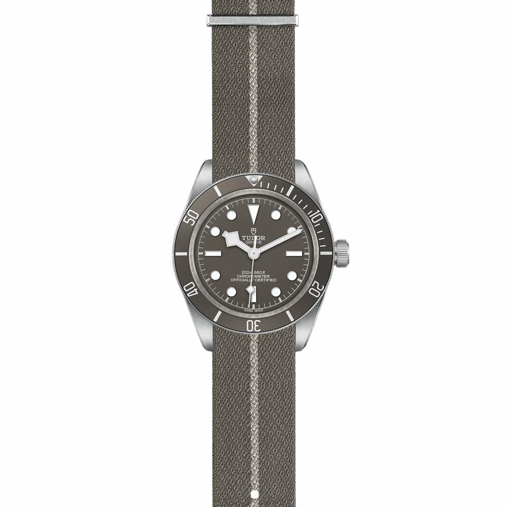 TUDOR Black Bay 58 925 Silver 39mm Taupe Dial Watch M79010SG-0002