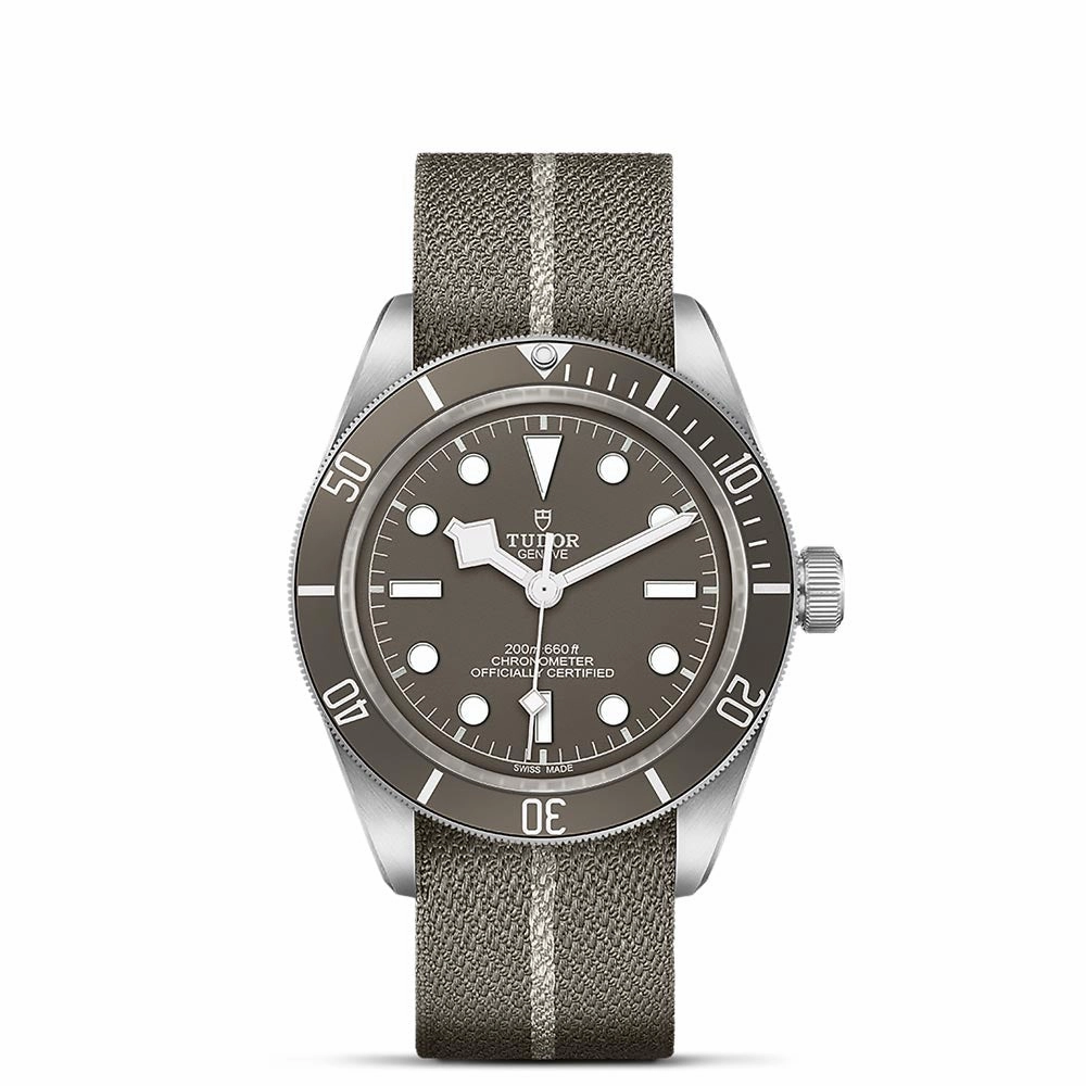 TUDOR Black Bay 58 925 Silver 39mm Taupe Dial Watch M79010SG-0002