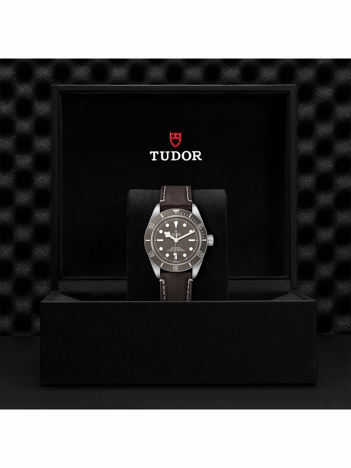 TUDOR Black Bay 58 925 Watch 39mm M79010SG-0001