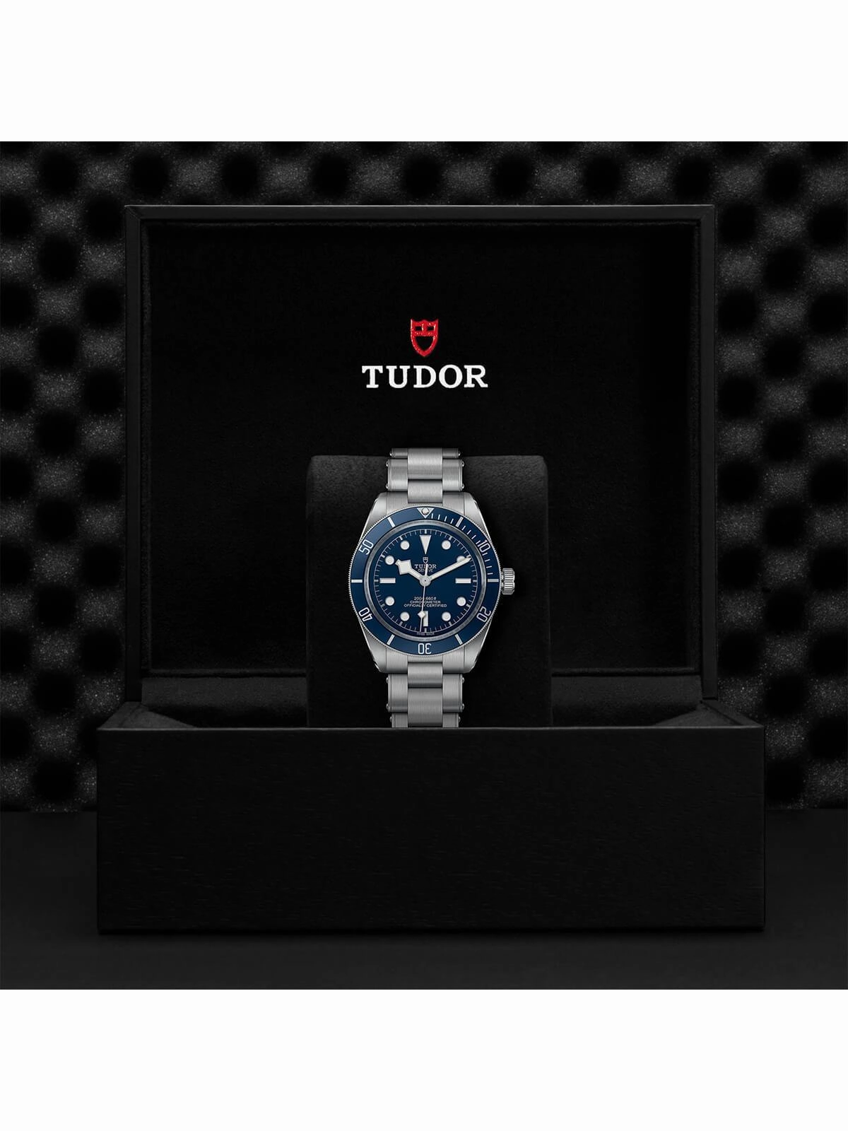 TUDOR Black Bay 58 "Navy Blue" Watch 39mm M79030B-0001