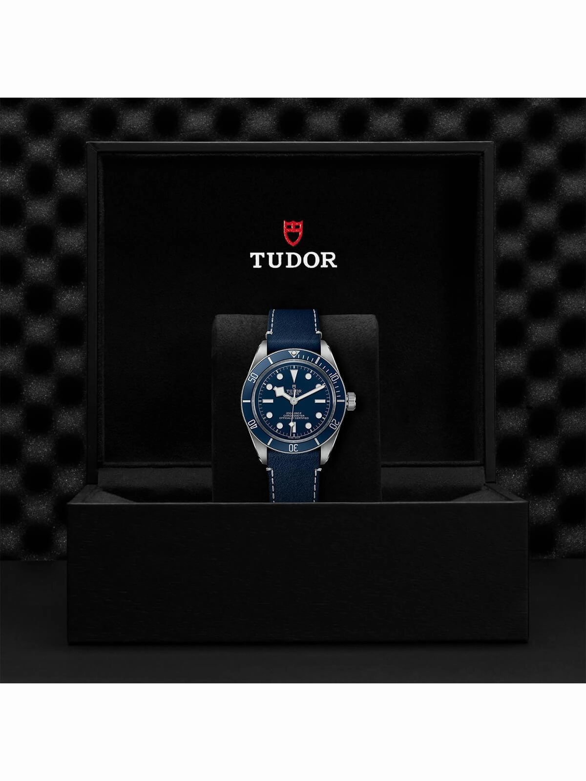 TUDOR Black Bay 58 "Navy Blue" Watch 39mm M79030B-0002
