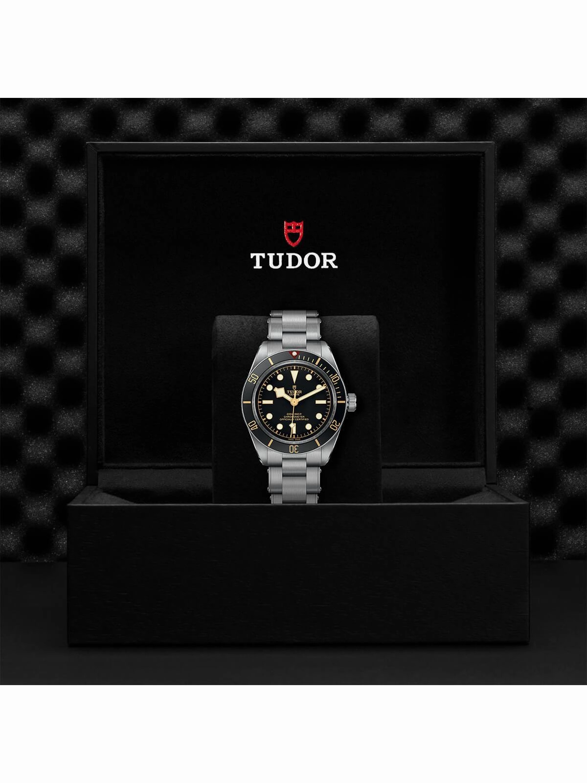 TUDOR Black Bay 58 Watch 39mm M79030N-0001