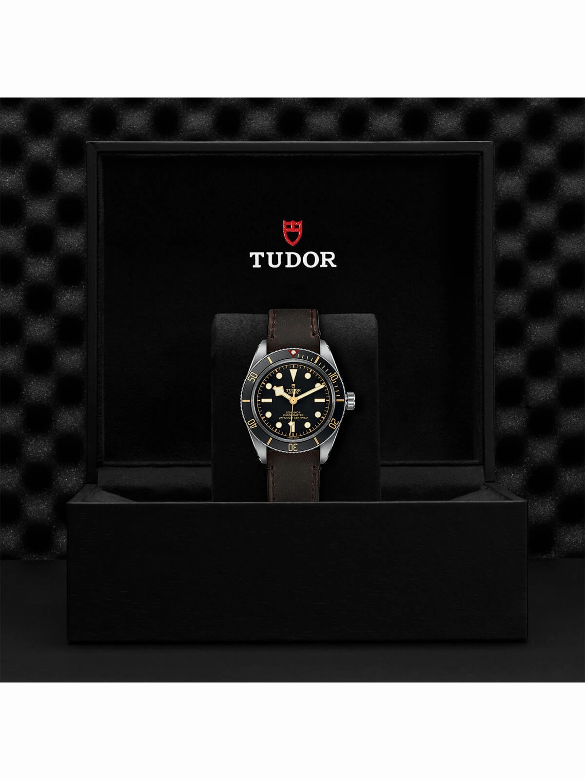 TUDOR Black Bay 58 Watch 39mm M79030N-0002