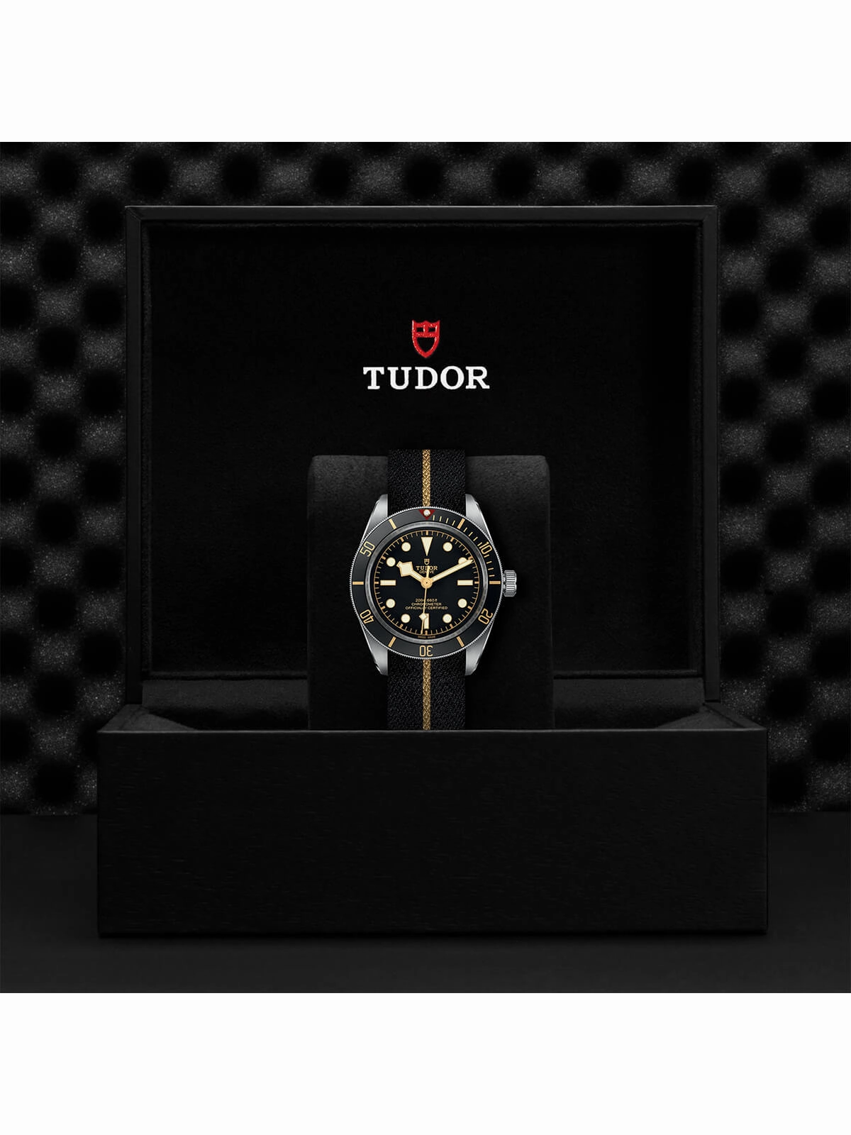 TUDOR Black Bay 58 Watch 39mm M79030N-0003
