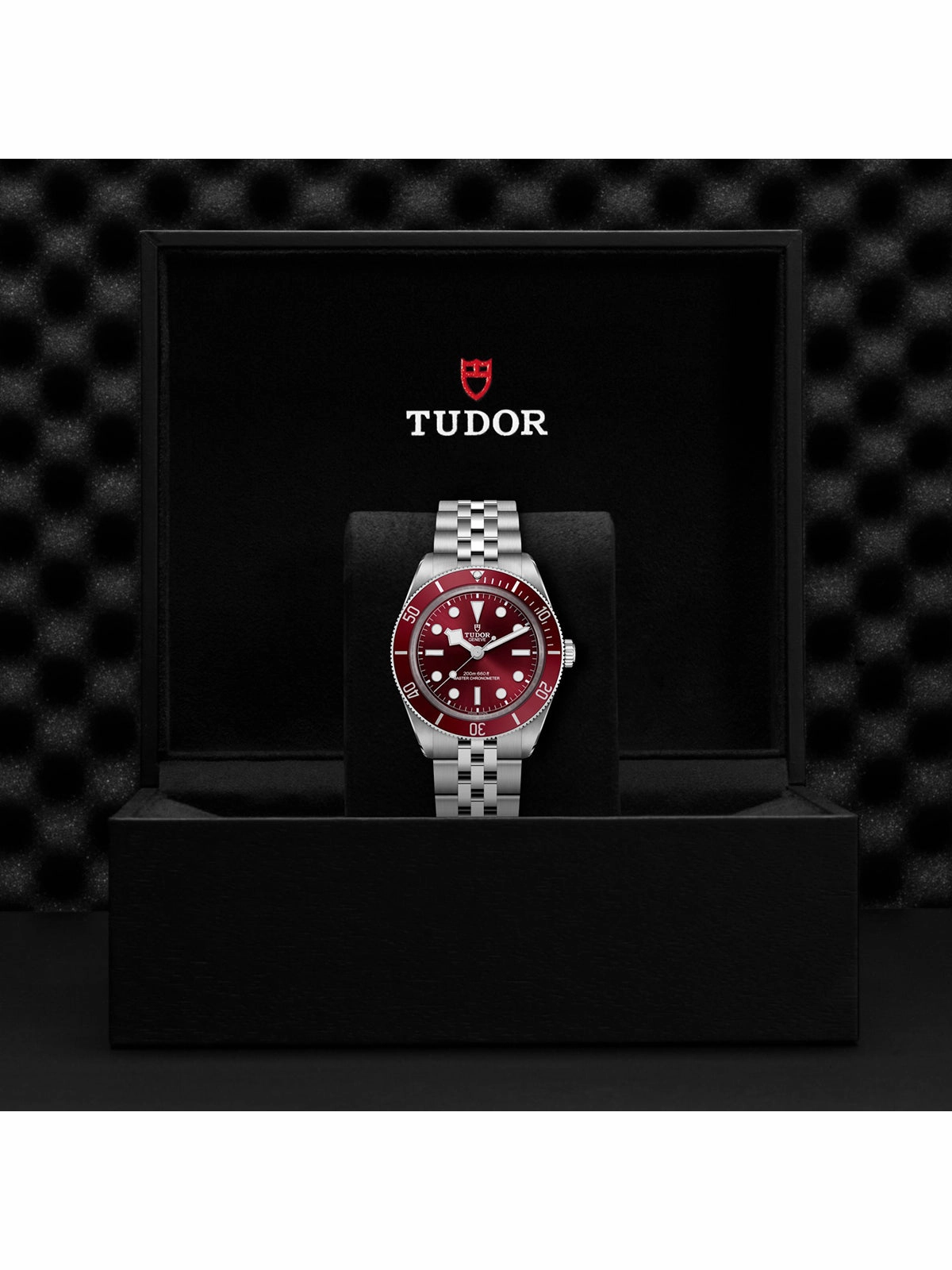 TUDOR Black Bay 58 Watch 39mm M7939A1A0RU-0001