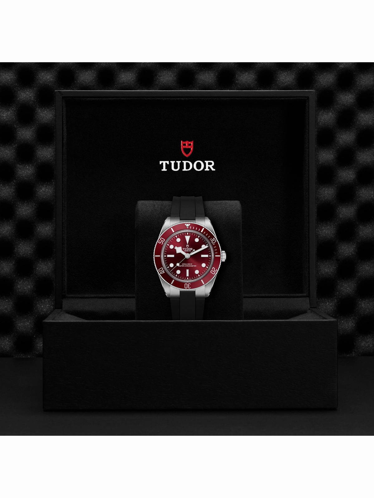 TUDOR Black Bay 58 Watch 39mm M7939A1A0RU-0003