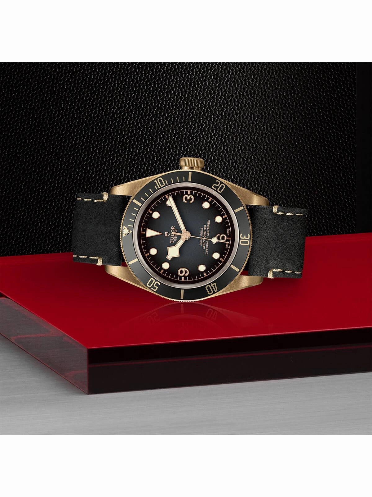 TUDOR Black Bay Bronze Watch 43mm M79250BA-0001