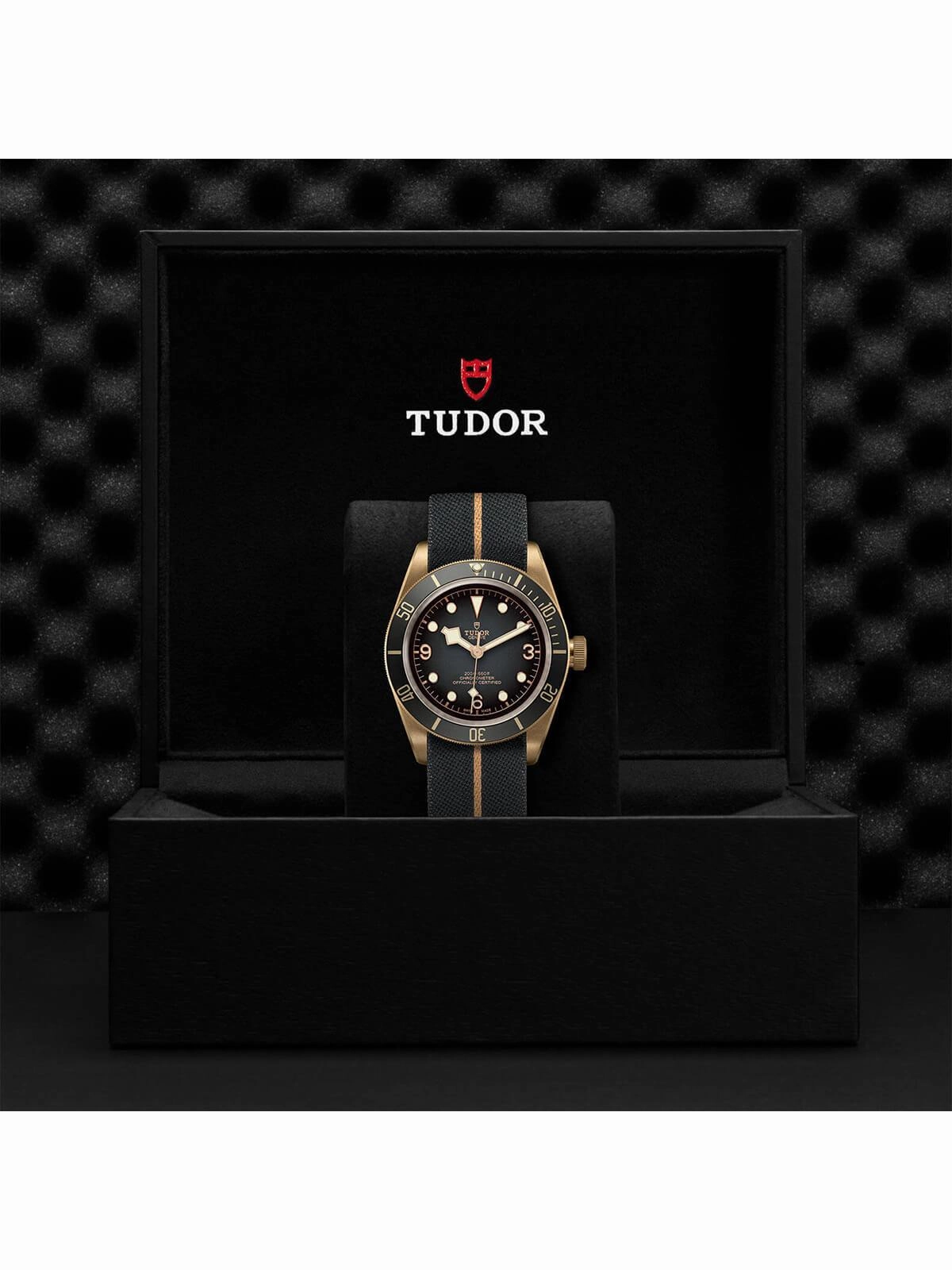 TUDOR Black Bay Bronze Watch 43mm M79250BA-0002