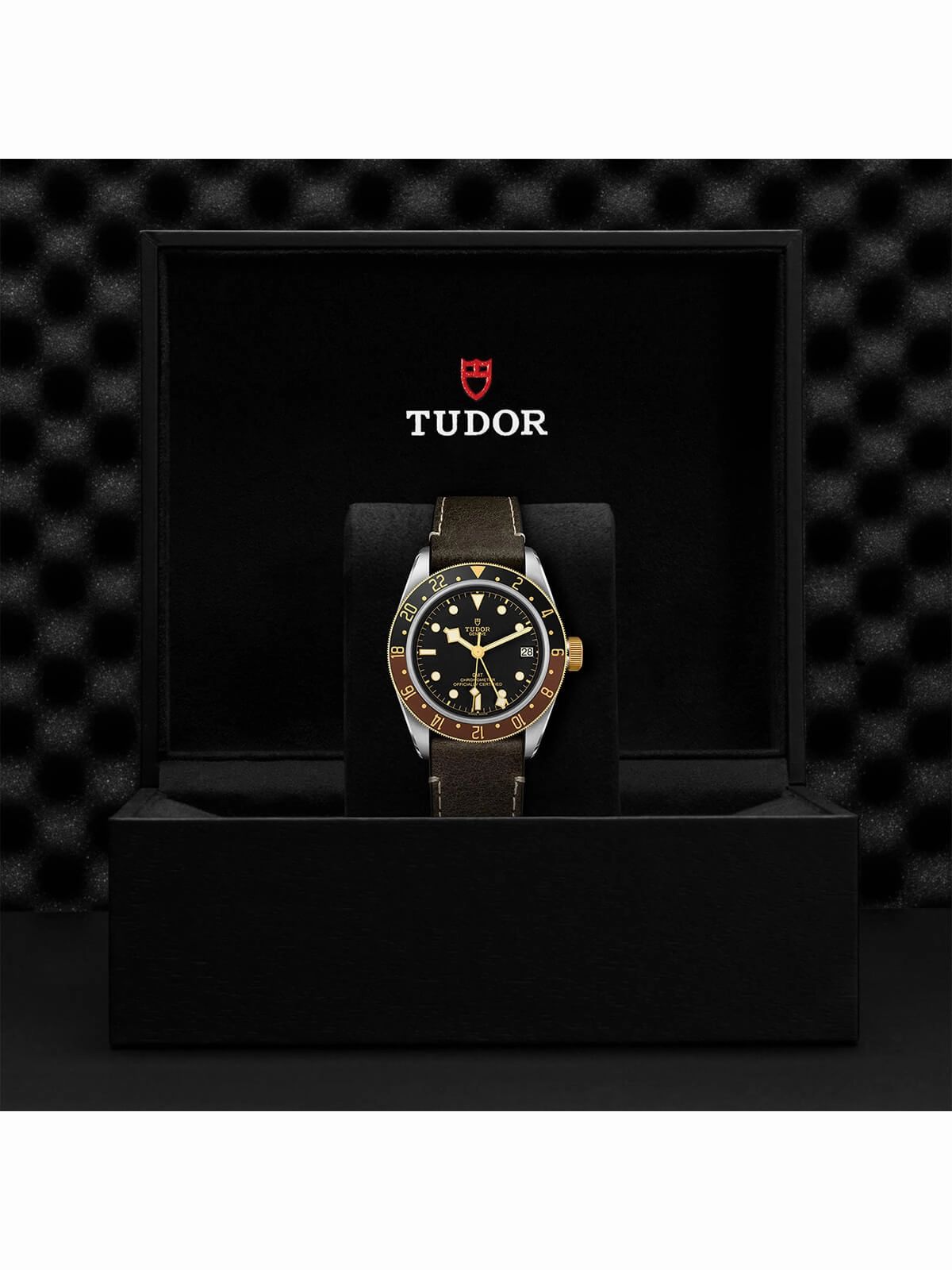 TUDOR Black Bay GMT S&G Watch 41mm M79833MN-0003