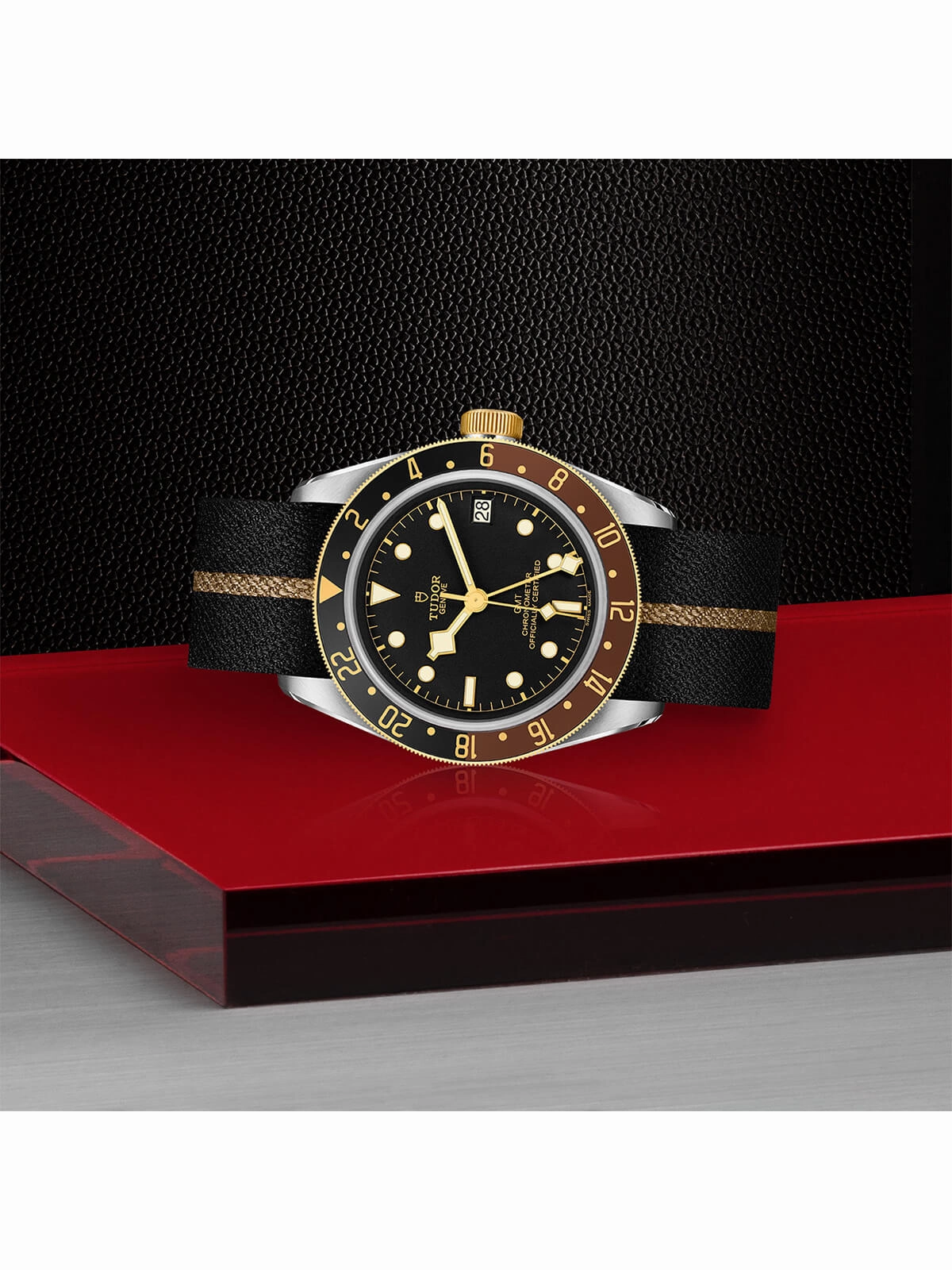 TUDOR Black Bay GMT S&G Watch 41mm M79833MN-0004