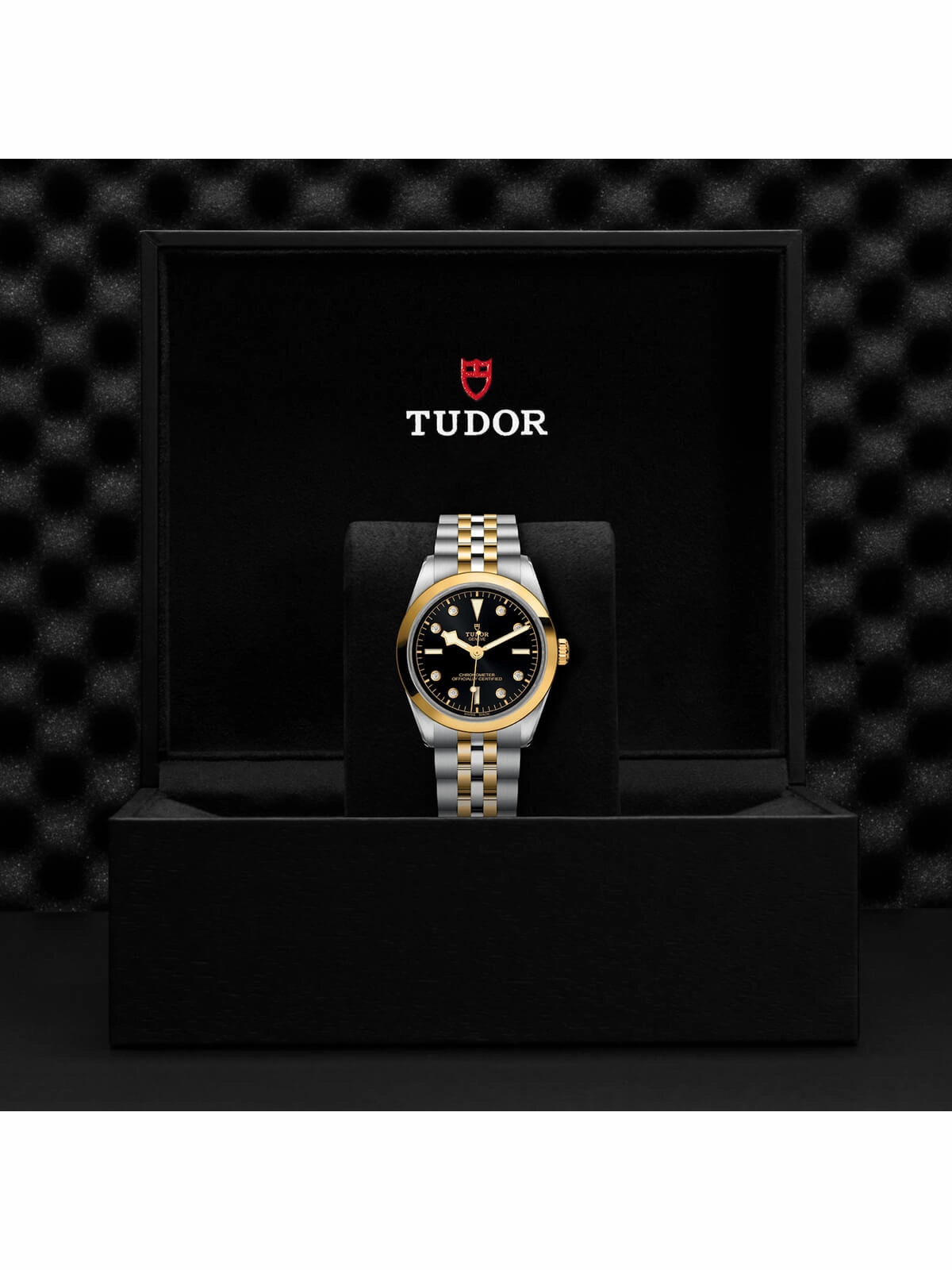 TUDOR Black Bay One S&G Watch 36mm M79643-0006