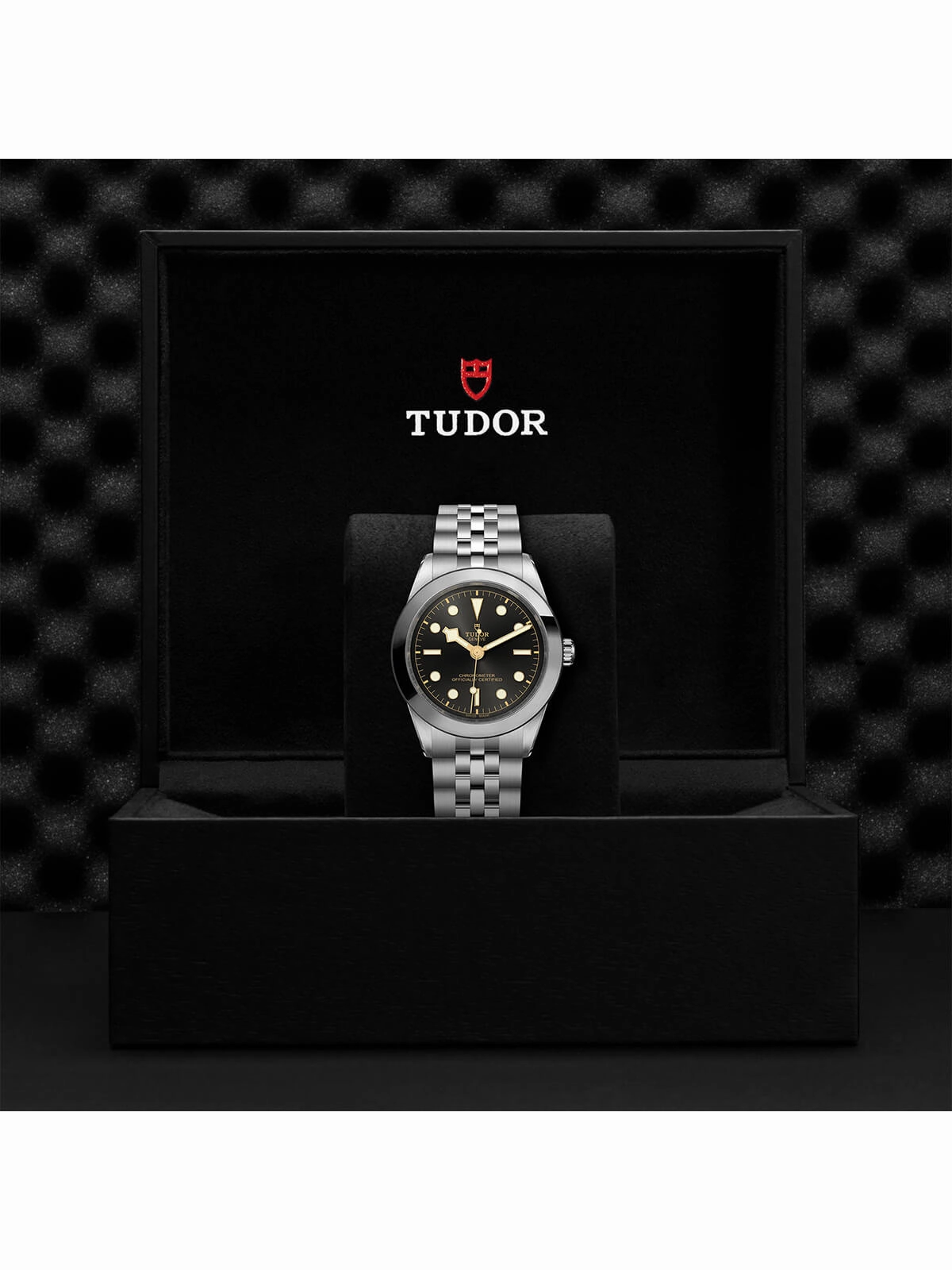 TUDOR Black Bay One Watch 39mm M79660-0001