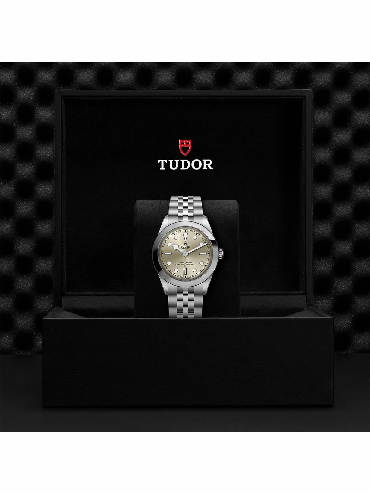 TUDOR Black Bay One Watch 39mm M79660-0003