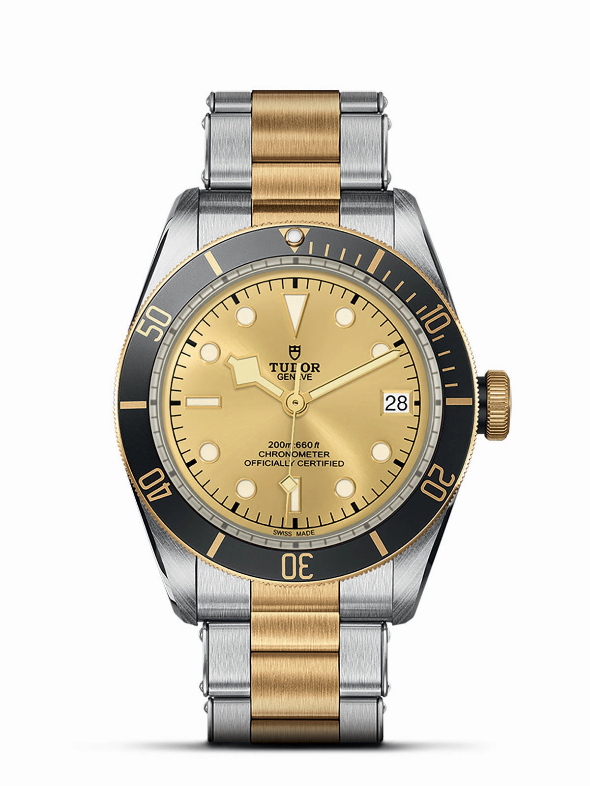 TUDOR Black Bay S&G Watch 41mm M79733N-0004