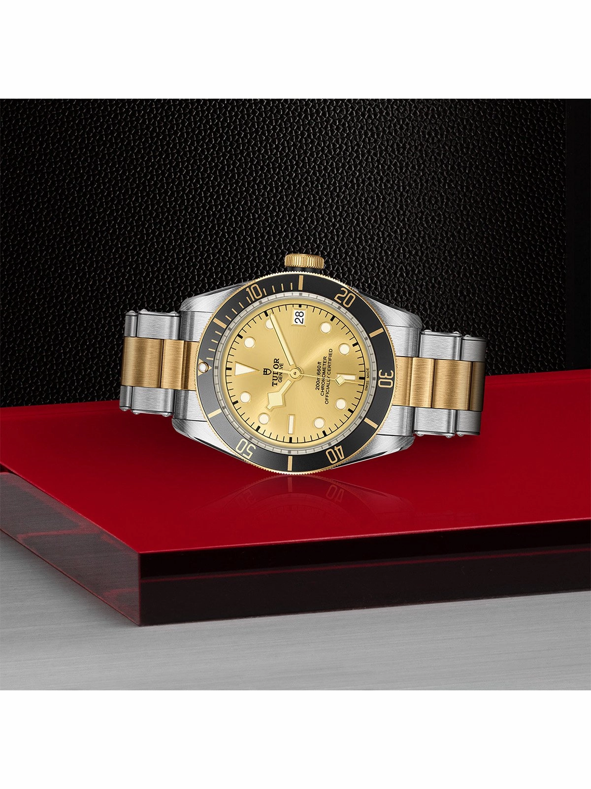 TUDOR Black Bay S&G Watch 41mm M79733N-0004