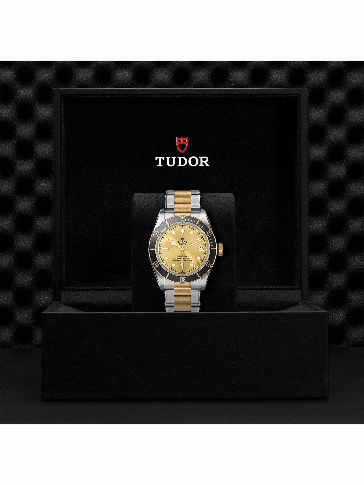 TUDOR Black Bay S&G Watch 41mm M79733N-0004