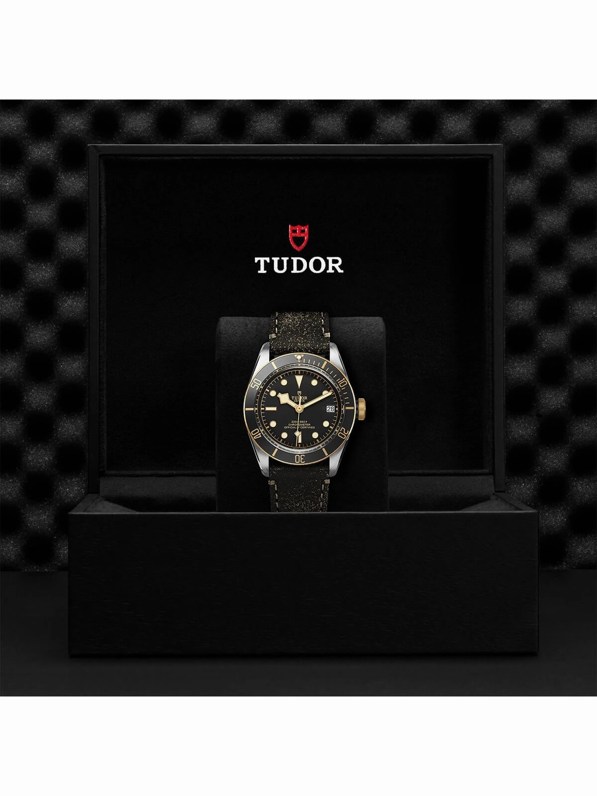 TUDOR Black Bay S&G Watch 41mm M79733N-0007