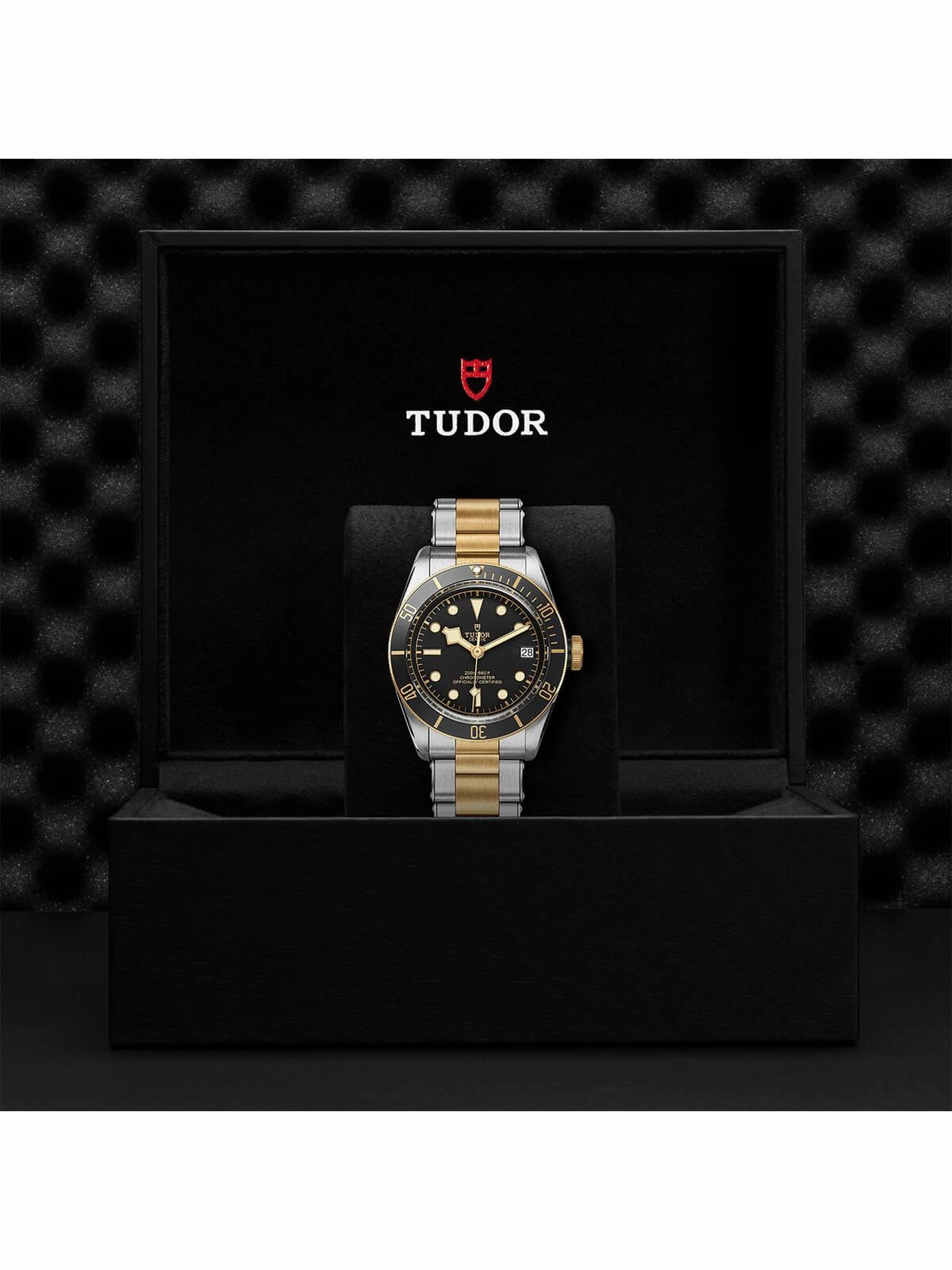 TUDOR Black Bay S&G Watch 41mm M79733N-0008