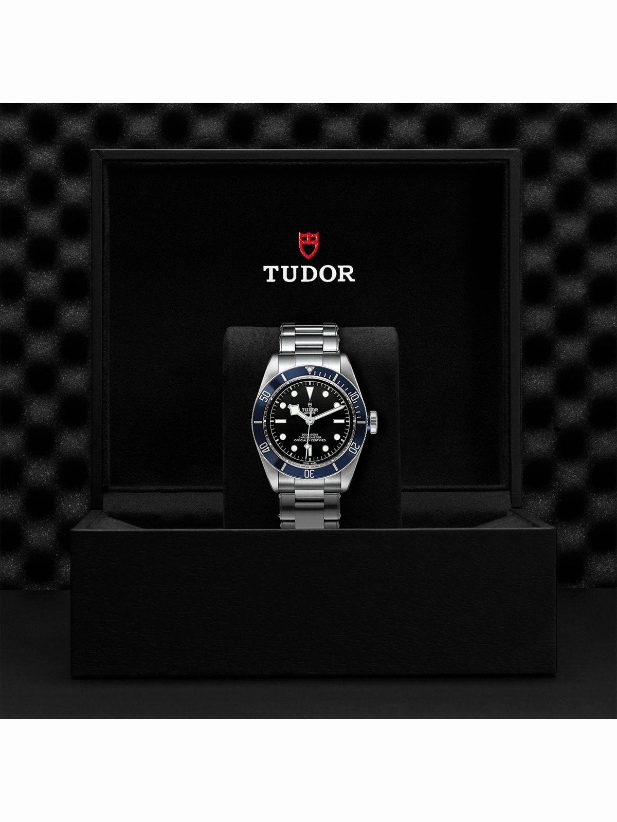 TUDOR Black Bay Watch 41mm M79230B-0008