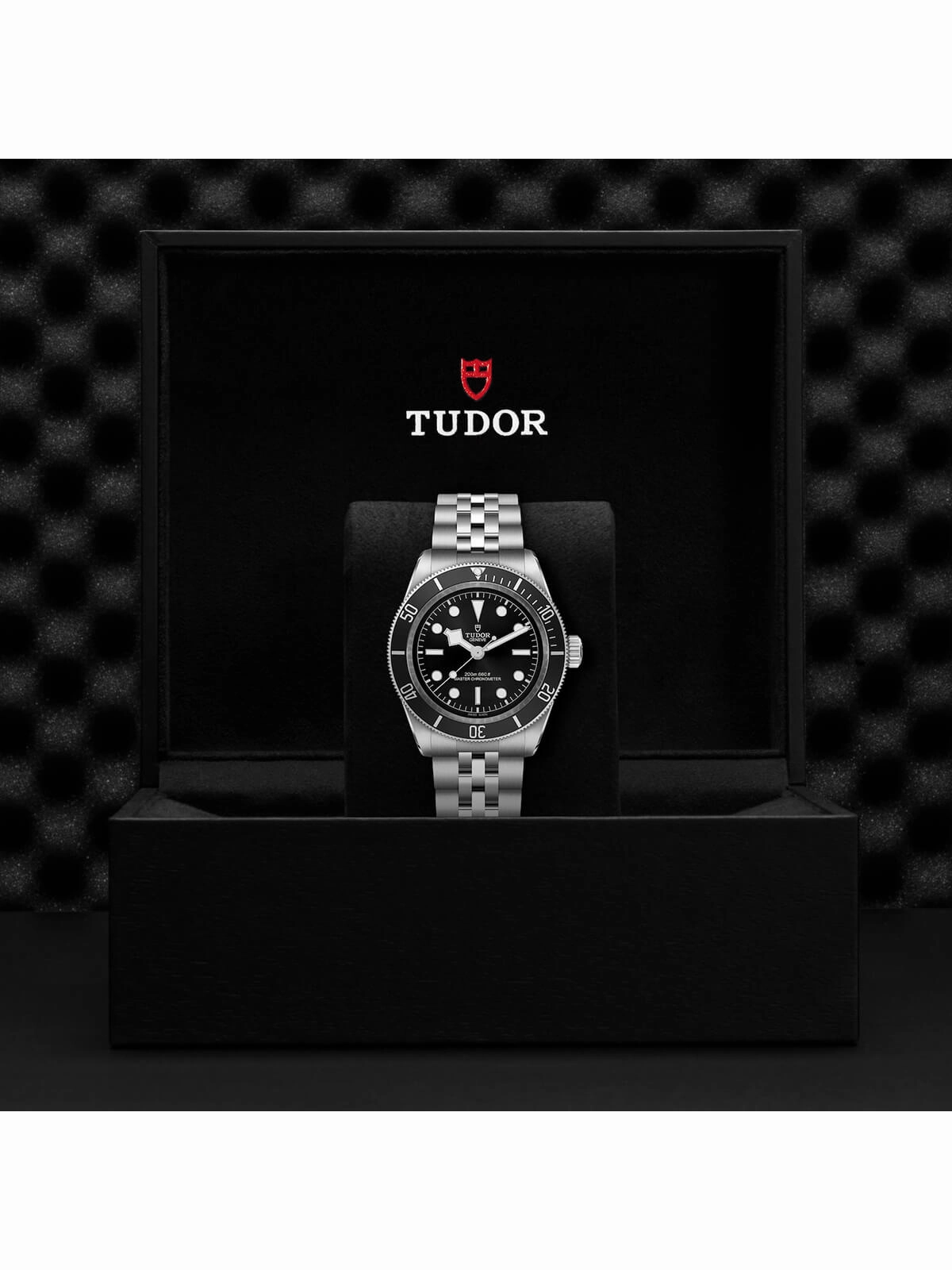 TUDOR Black Bay Watch 41mm M7941A1A0NU-0003