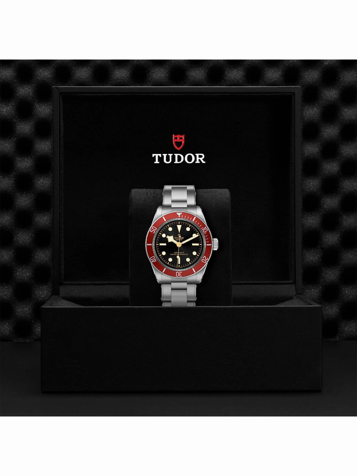 TUDOR Black Bay Watch 41mm M7941A1A0RU-0001