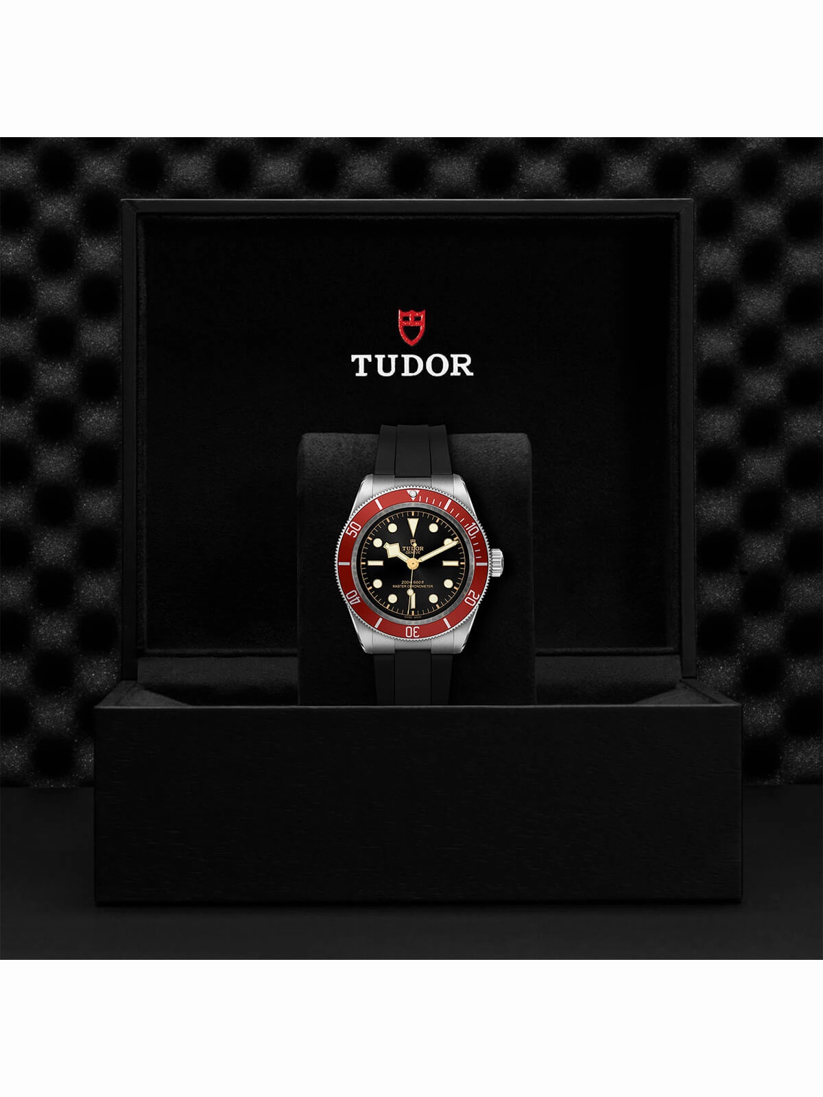 TUDOR Black Bay Watch 41mm M7941A1A0RU-0002
