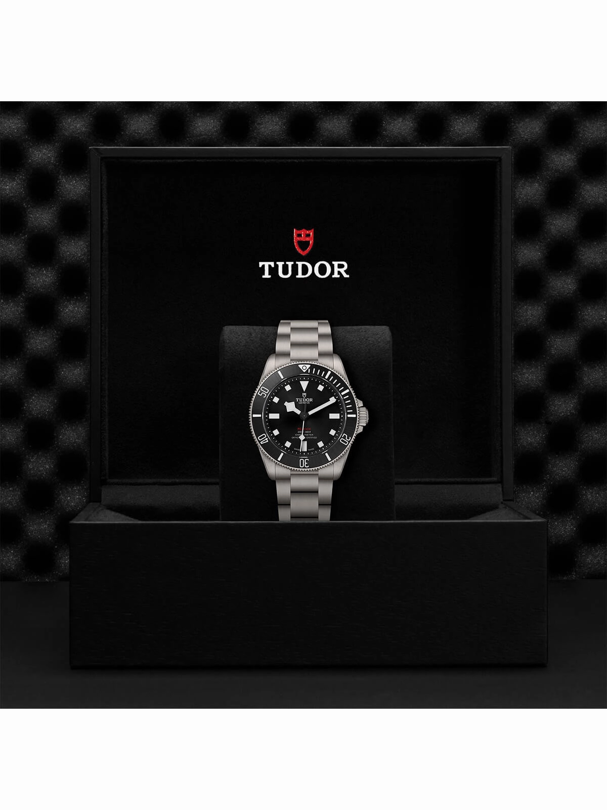 TUDOR Pelagos Watch 39mm M25407N-0001