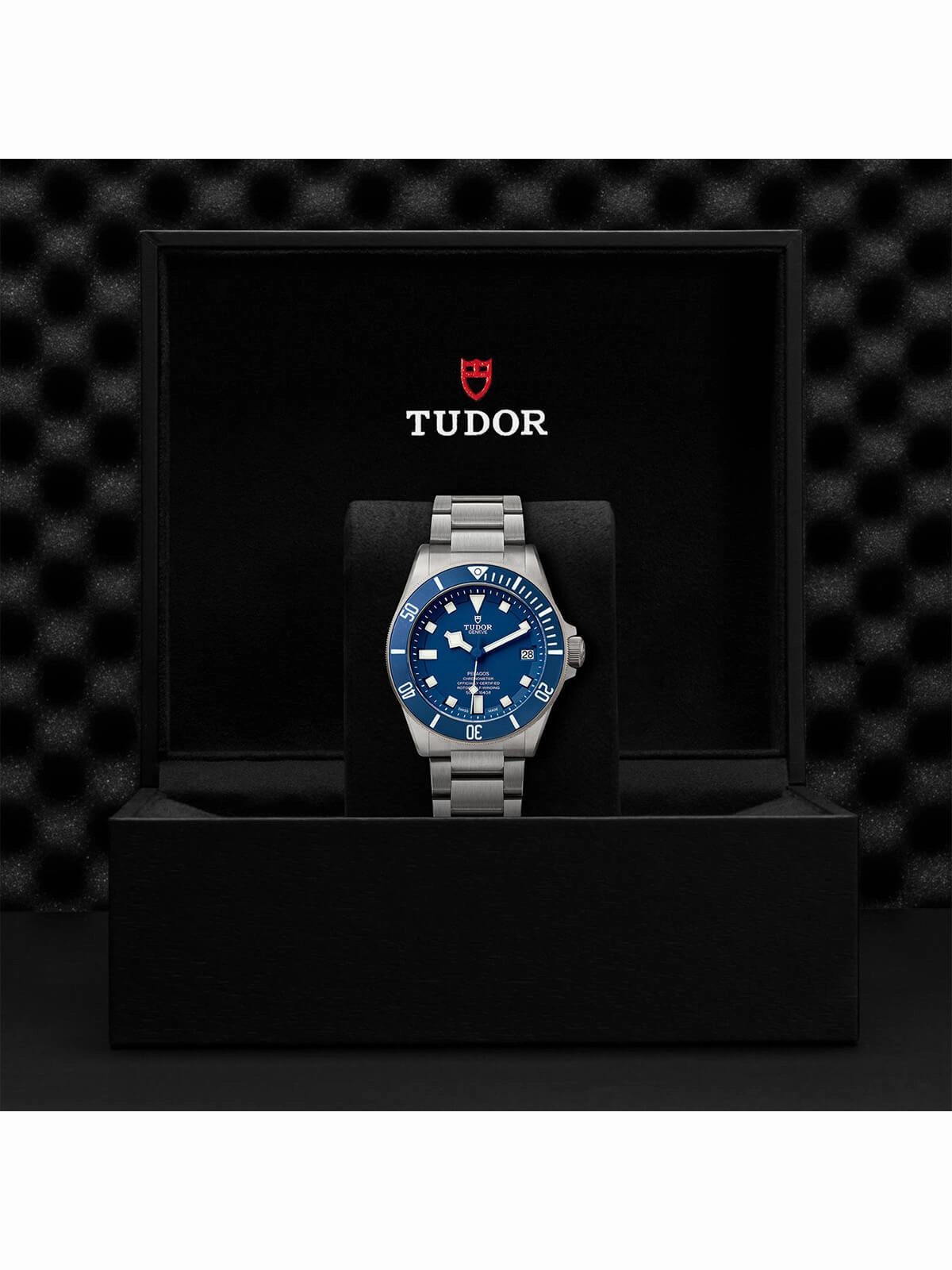TUDOR Pelagos Watch 42mm M25600TB-0001